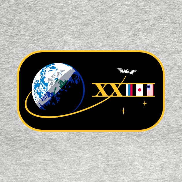 Expedition 23 Crew Patch by Spacestuffplus